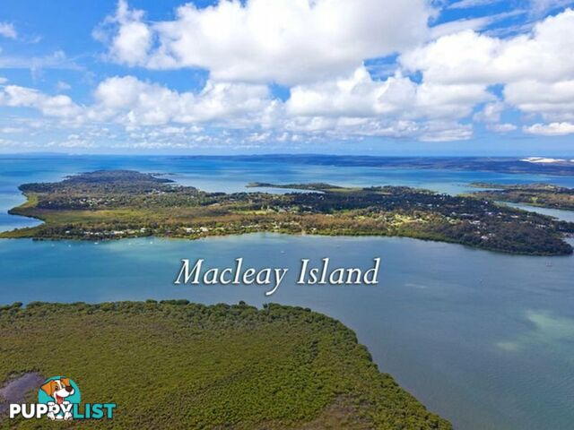 8 Attunga Street MACLEAY ISLAND QLD 4184