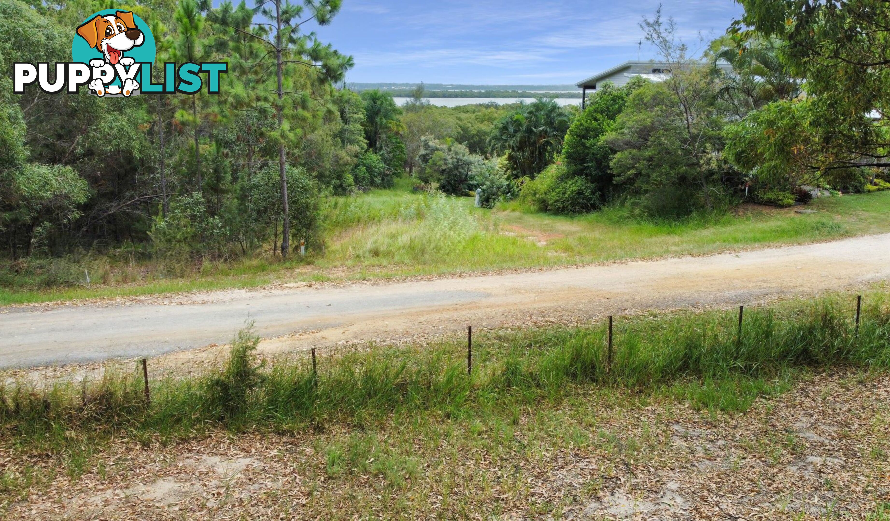 29 Parakeet Street MACLEAY ISLAND QLD 4184