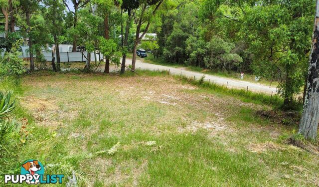 29 Parakeet Street MACLEAY ISLAND QLD 4184