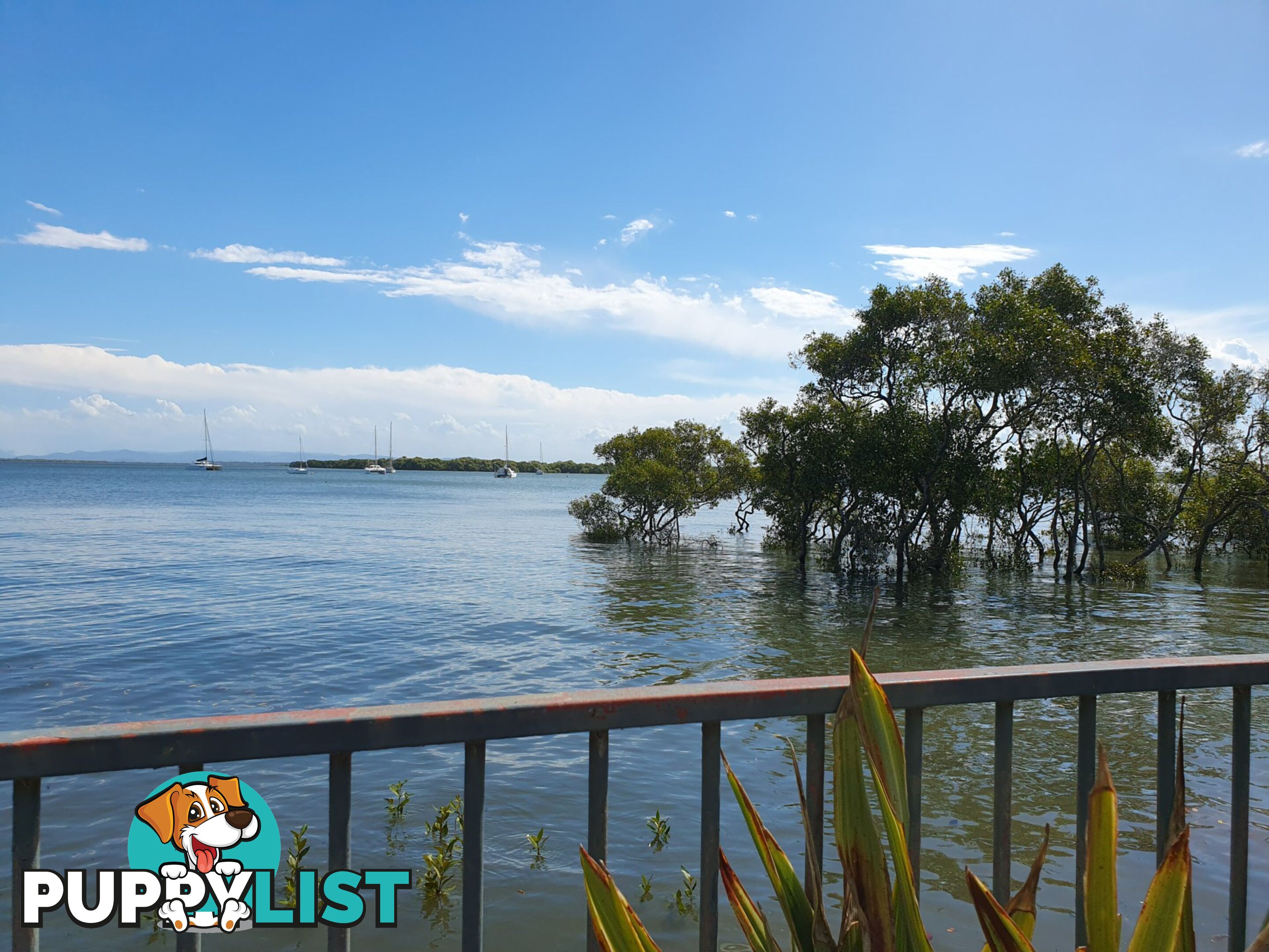 46 Western Road MACLEAY ISLAND QLD 4184