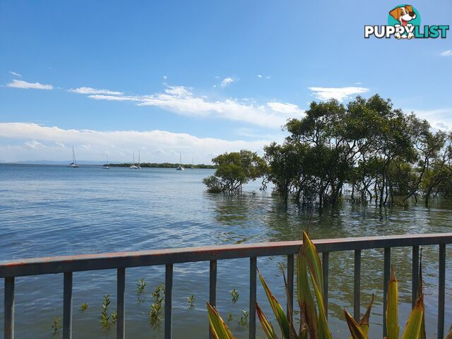 46 Western Road MACLEAY ISLAND QLD 4184