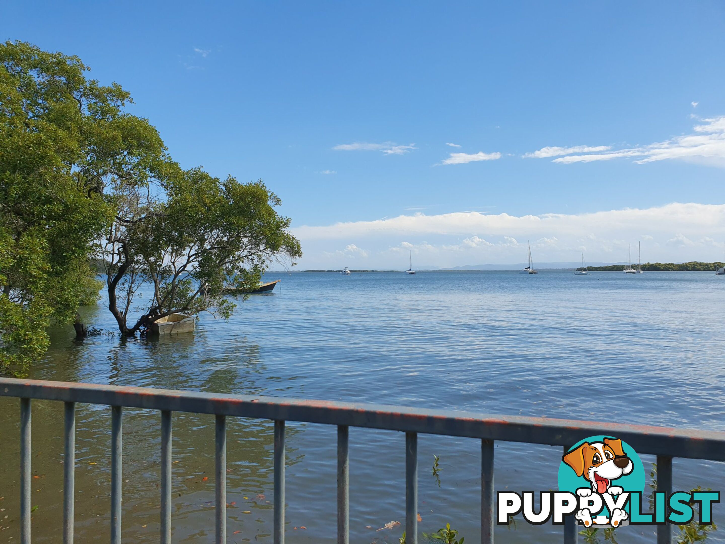 46 Western Road MACLEAY ISLAND QLD 4184