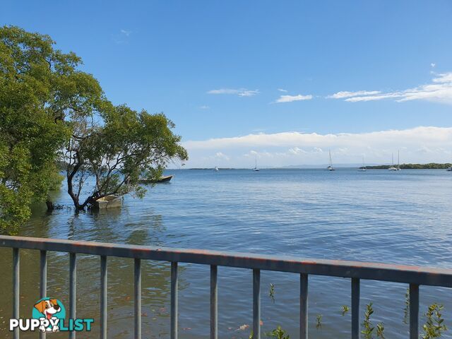 46 Western Road MACLEAY ISLAND QLD 4184