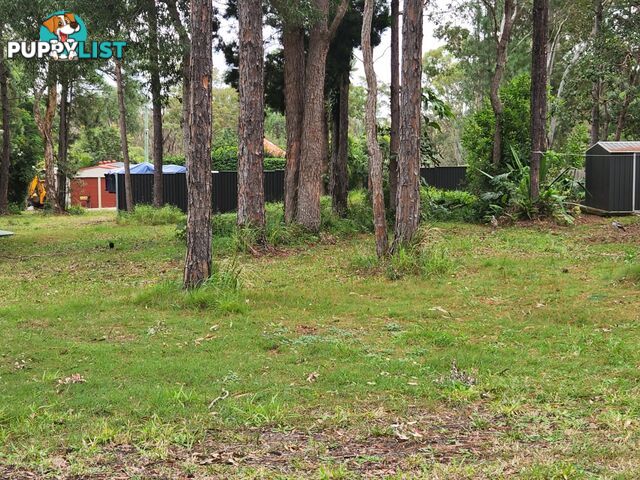 31 Nugent Street MACLEAY ISLAND QLD 4184