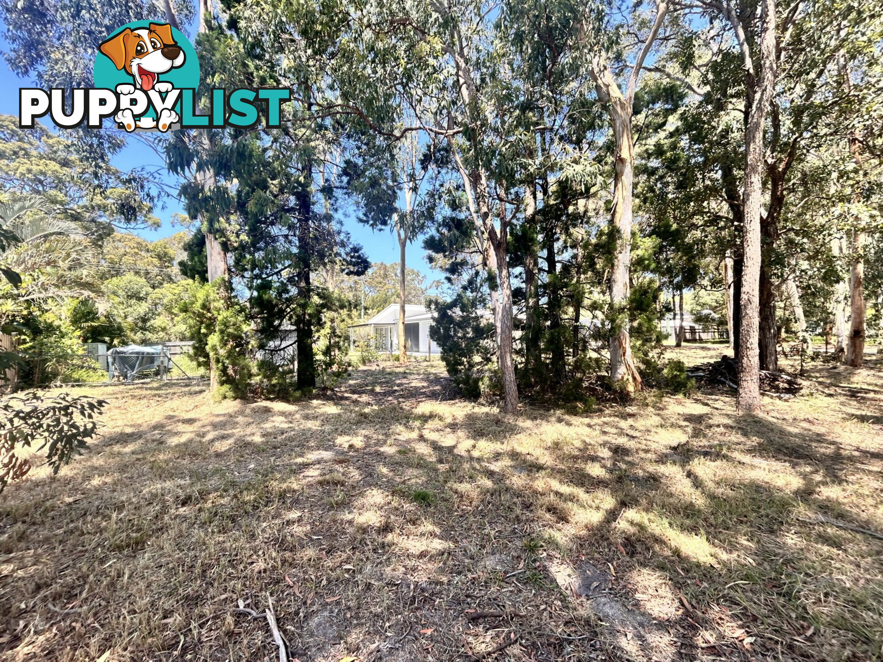 3 Tingara Street MACLEAY ISLAND QLD 4184