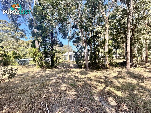 3 Tingara Street MACLEAY ISLAND QLD 4184