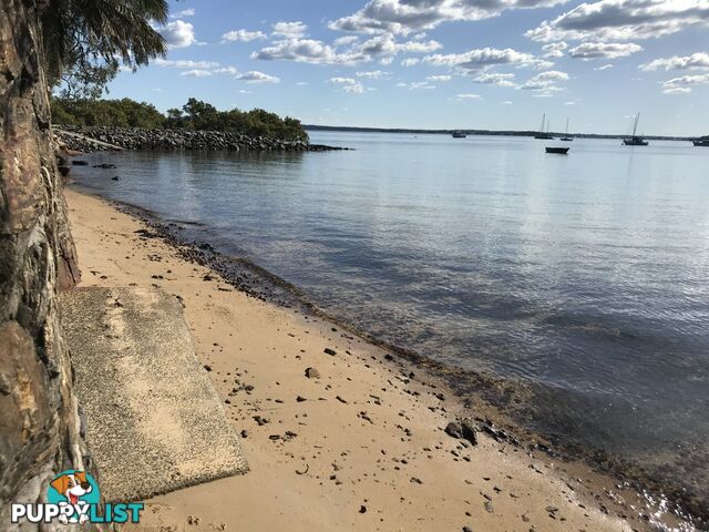 3 Tingara Street MACLEAY ISLAND QLD 4184