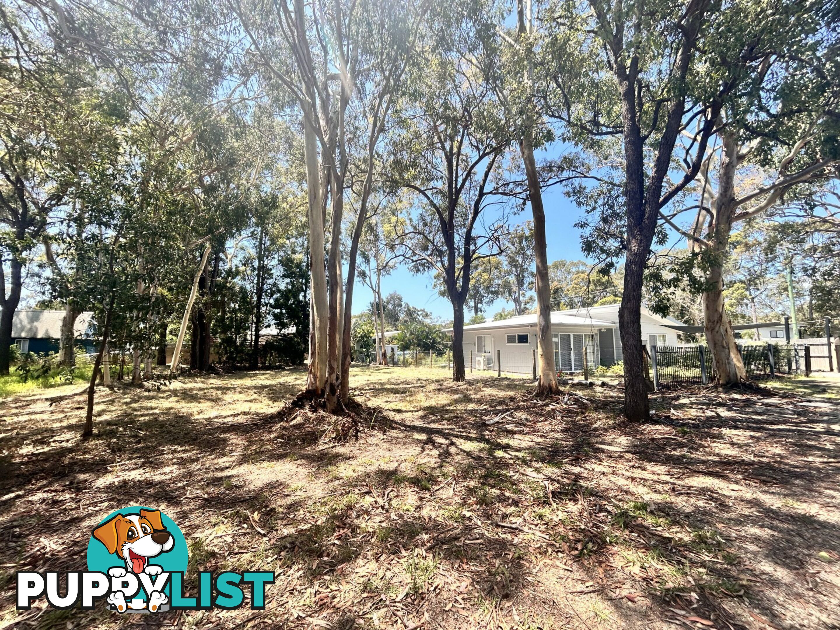 3 Tingara Street MACLEAY ISLAND QLD 4184