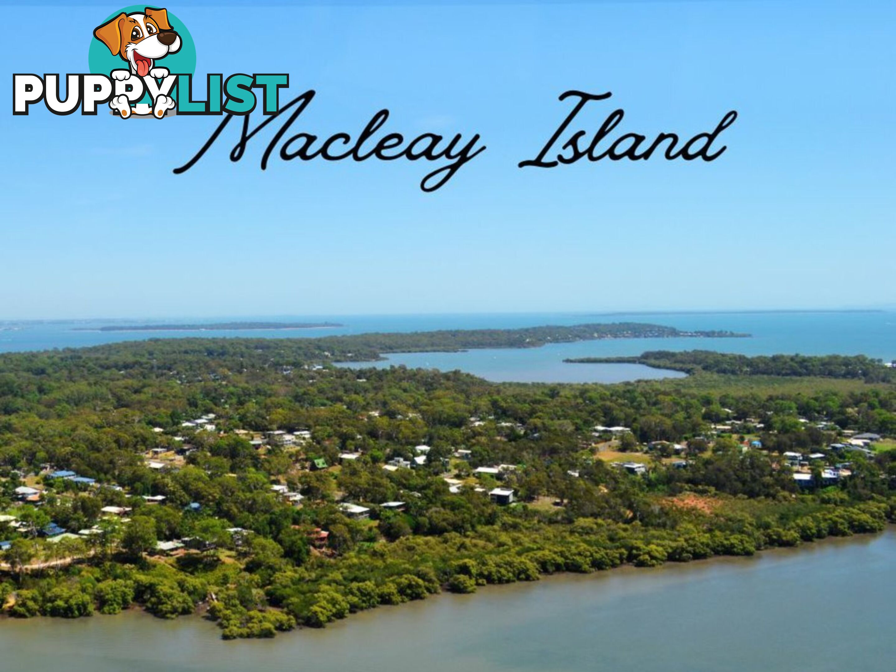 3 Tingara Street MACLEAY ISLAND QLD 4184