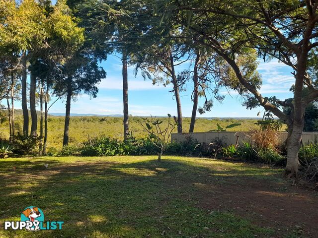 52 Treasure Island Avenue KARRAGARRA ISLAND QLD 4184