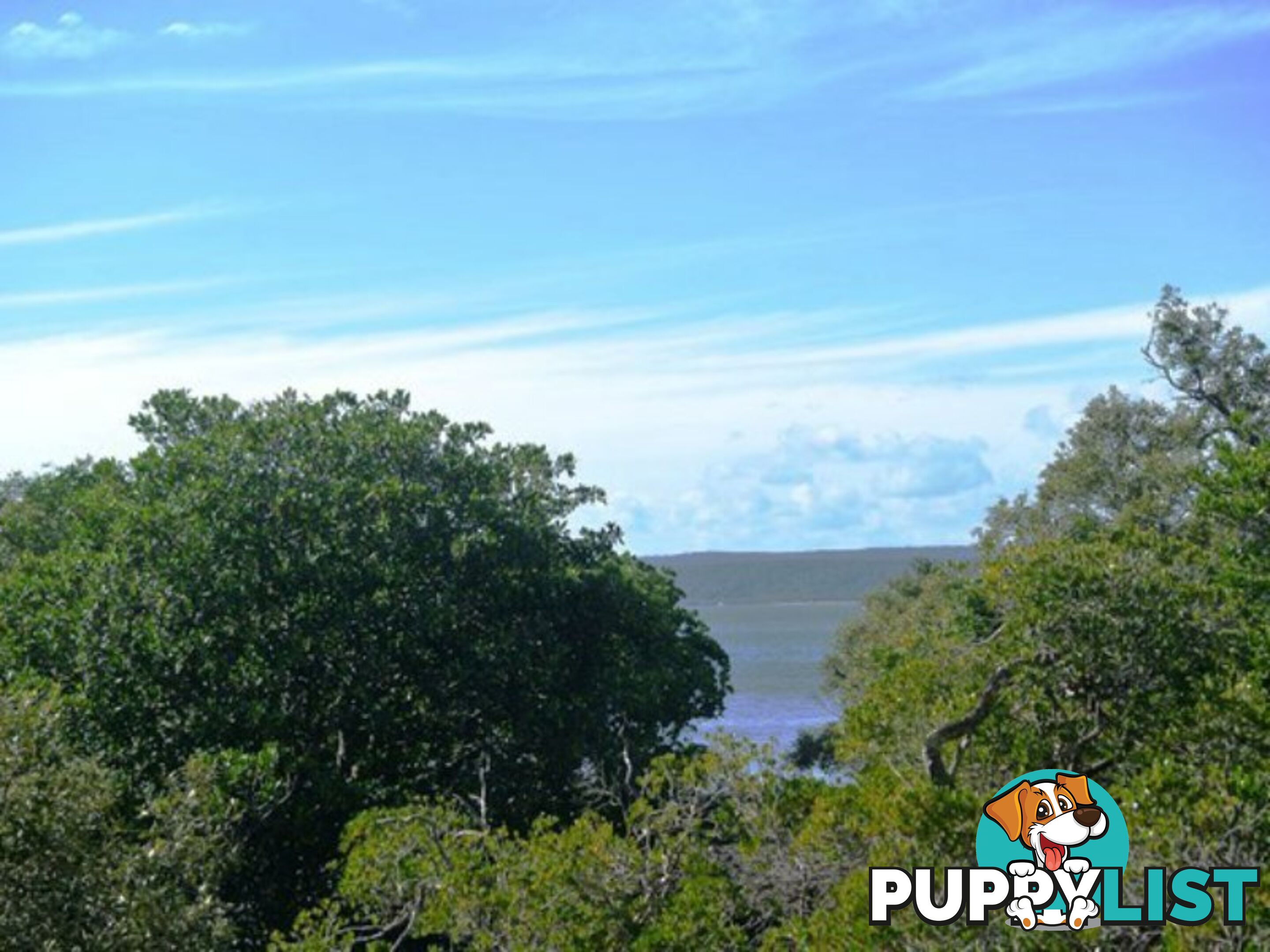 9 Boat Harbour Avenue MACLEAY ISLAND QLD 4184