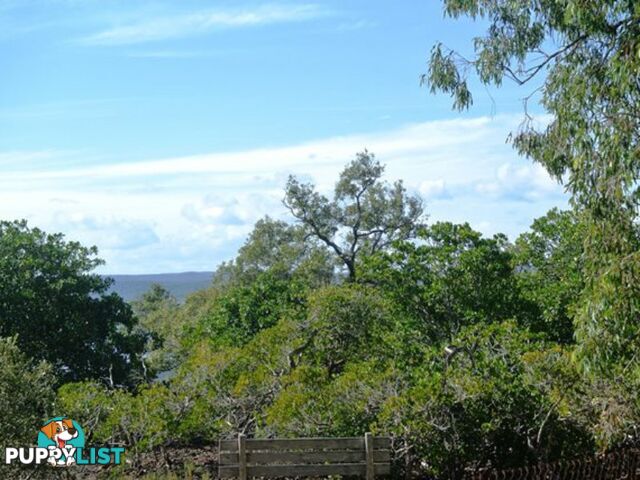 9 Boat Harbour Avenue MACLEAY ISLAND QLD 4184