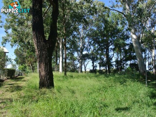 9 Boat Harbour Avenue MACLEAY ISLAND QLD 4184