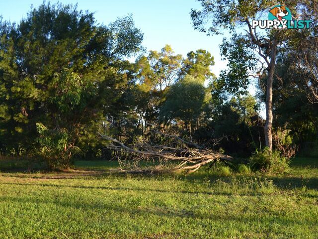 14 Calm Waters Crescent MACLEAY ISLAND QLD 4184