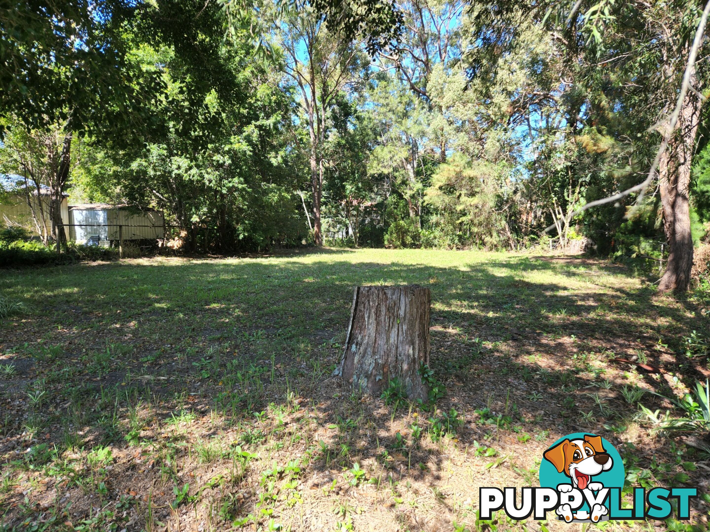 22 Mango Crescent MACLEAY ISLAND QLD 4184