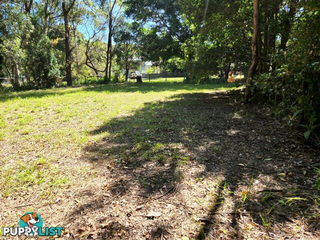 22 Mango Crescent MACLEAY ISLAND QLD 4184