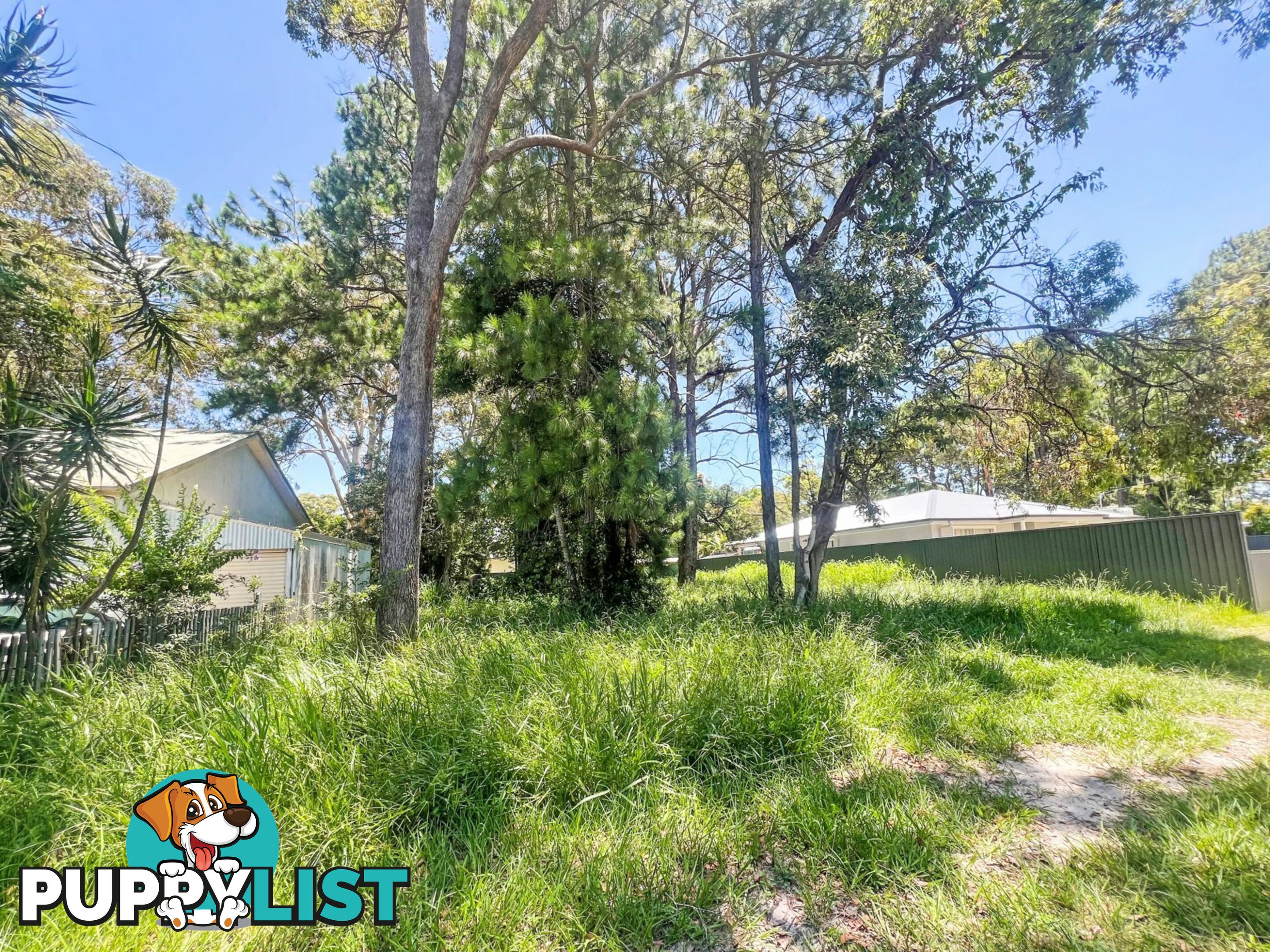 29 Kevin Street MACLEAY ISLAND QLD 4184