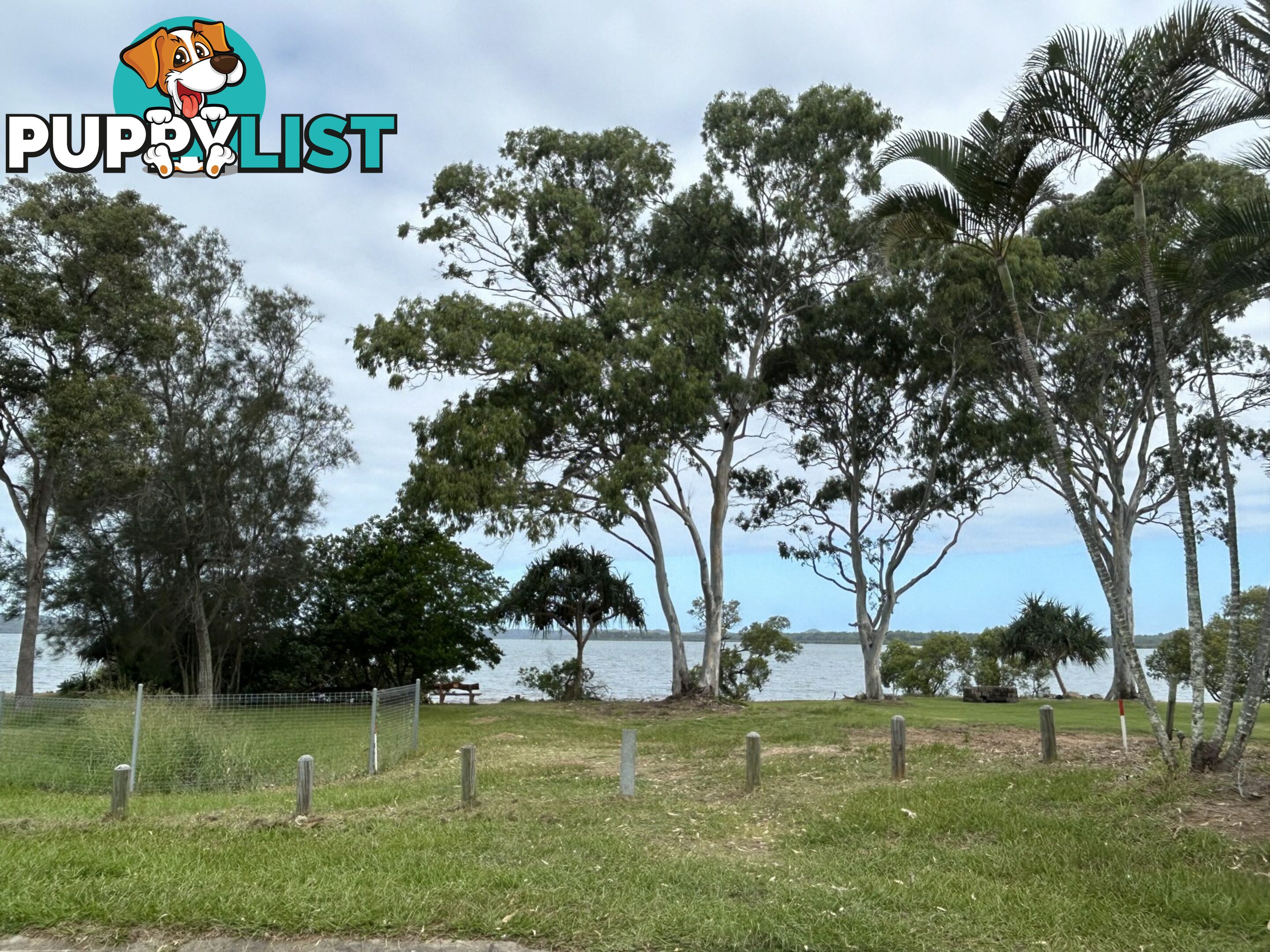 9 Mawarra Street MACLEAY ISLAND QLD 4184