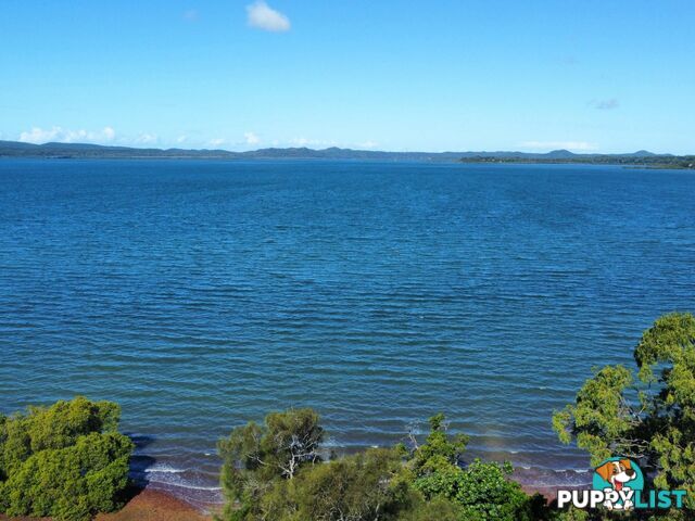 9 Mawarra Street MACLEAY ISLAND QLD 4184