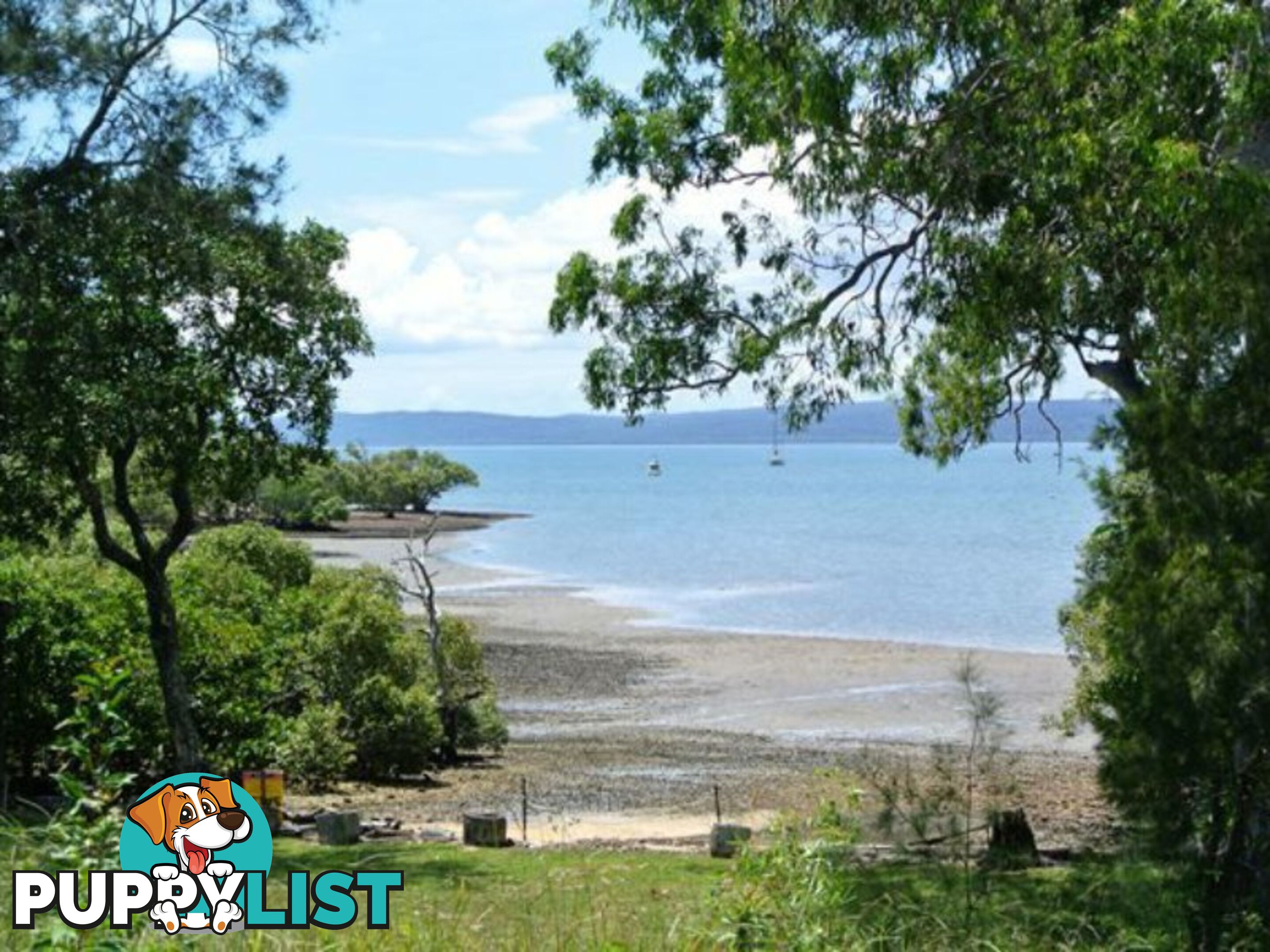 35 Jan Street MACLEAY ISLAND QLD 4184