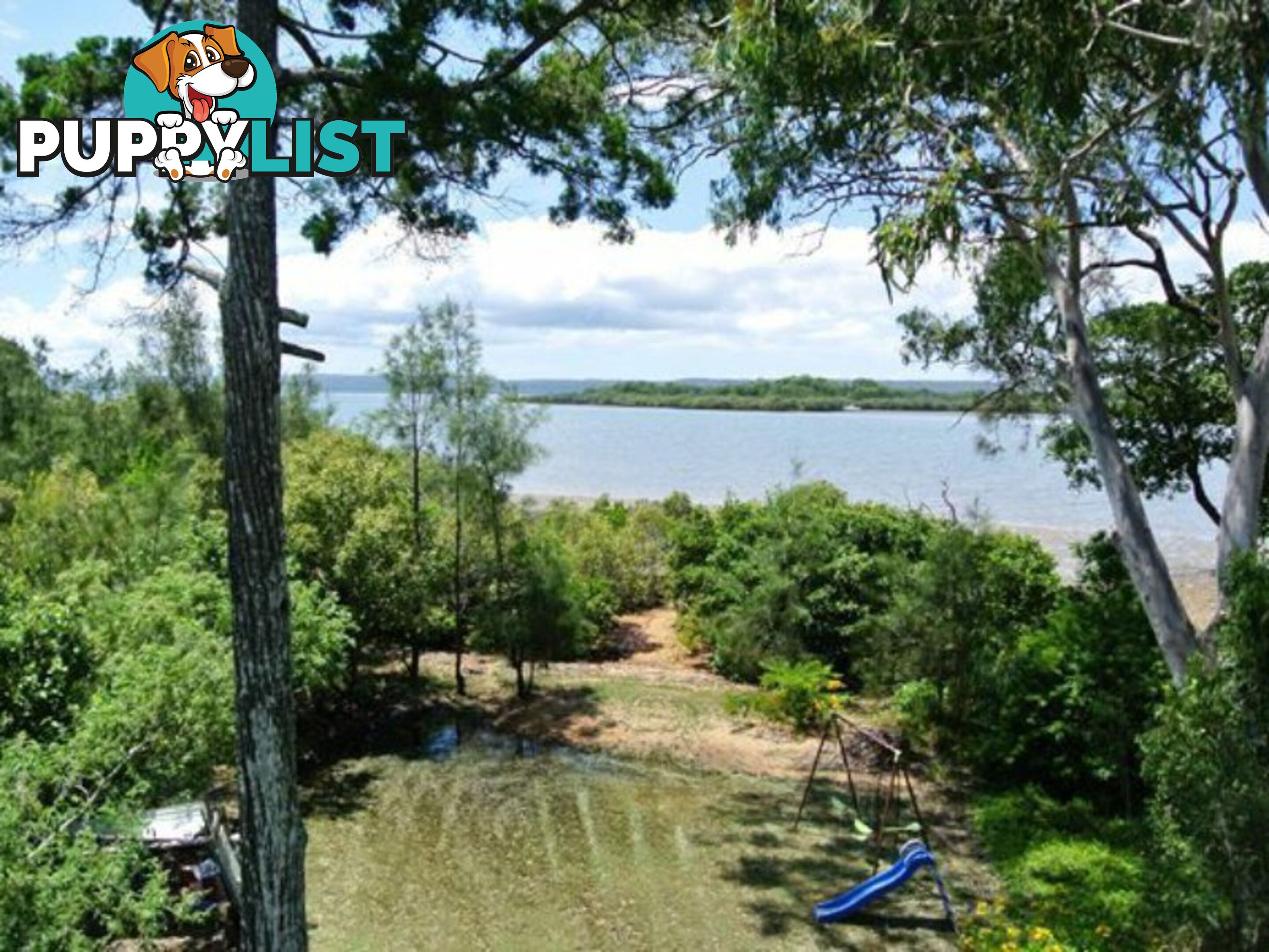 35 Jan Street MACLEAY ISLAND QLD 4184