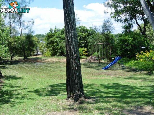 35 Jan Street MACLEAY ISLAND QLD 4184