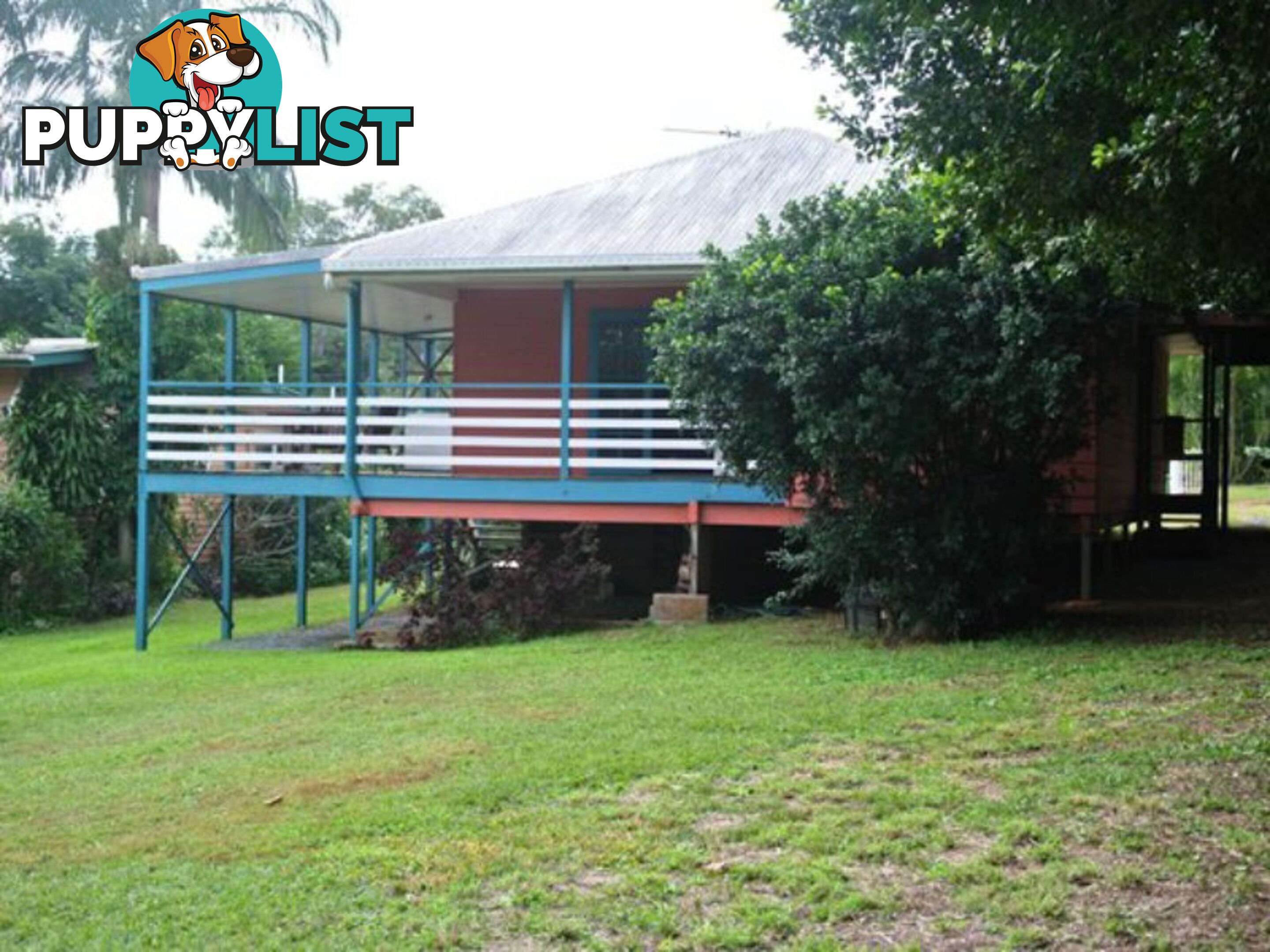 6 Eastbourne Terrace MACLEAY ISLAND QLD 4184