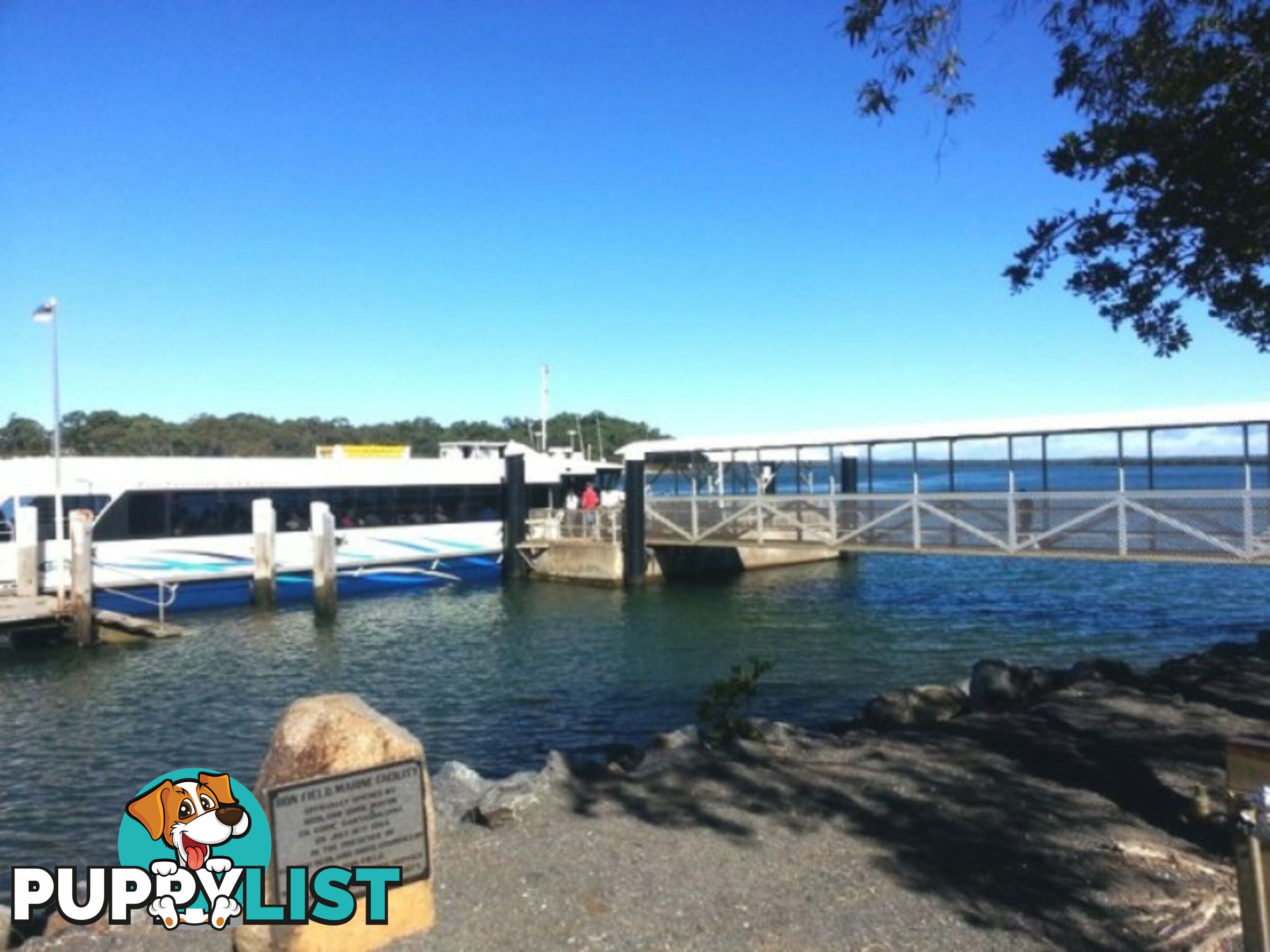 6 Eastbourne Terrace MACLEAY ISLAND QLD 4184