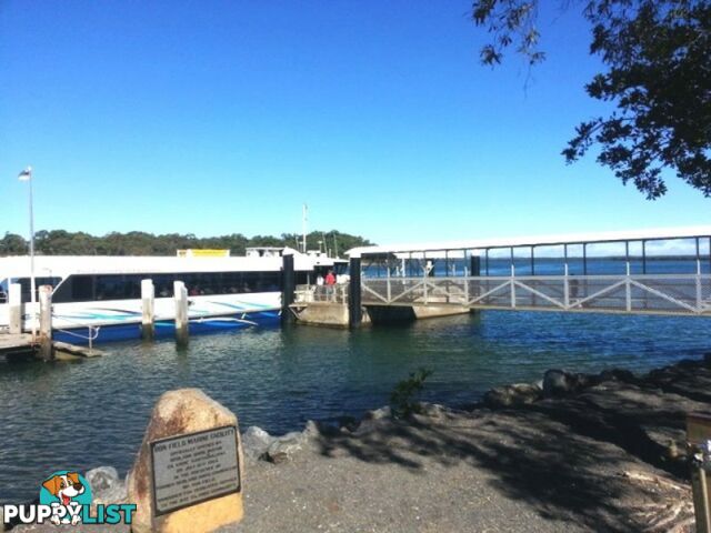 6 Eastbourne Terrace MACLEAY ISLAND QLD 4184