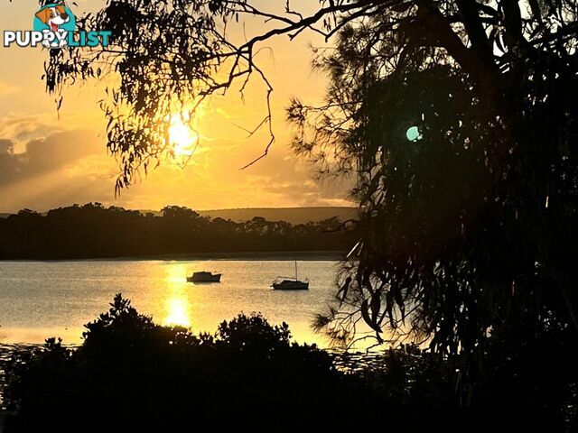 35 Jan Street MACLEAY ISLAND QLD 4184