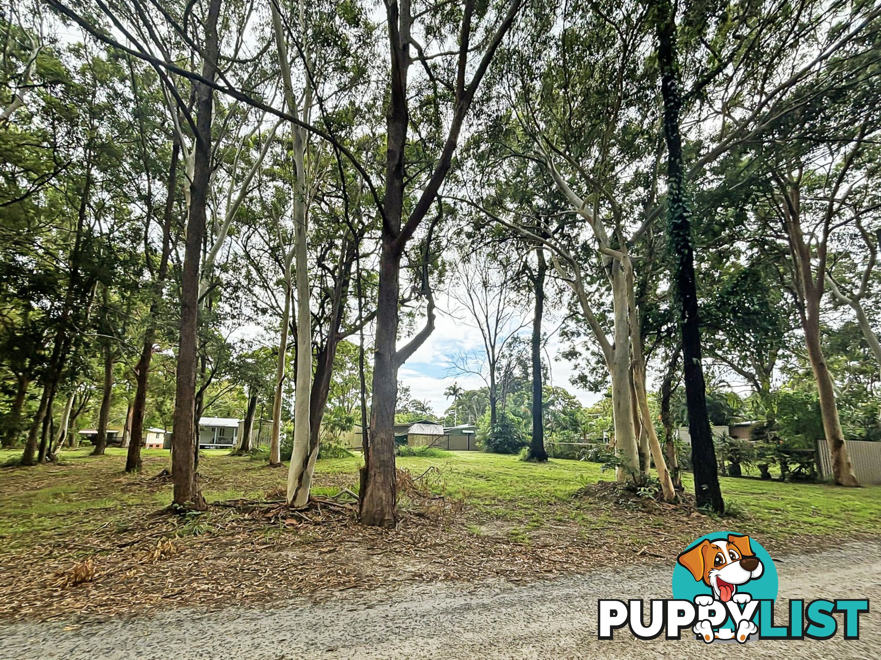 13-17 Parakeet Street MACLEAY ISLAND QLD 4184