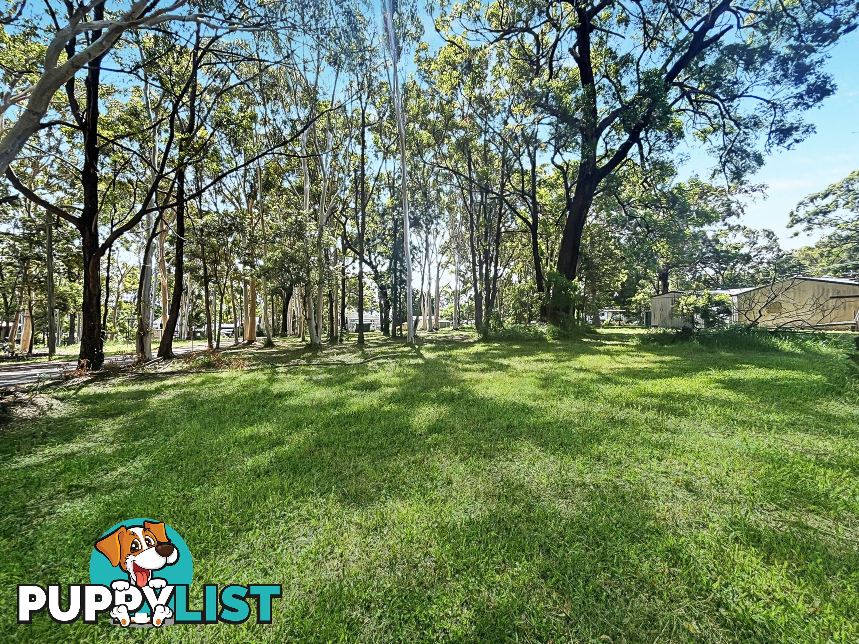 13-17 Parakeet Street MACLEAY ISLAND QLD 4184