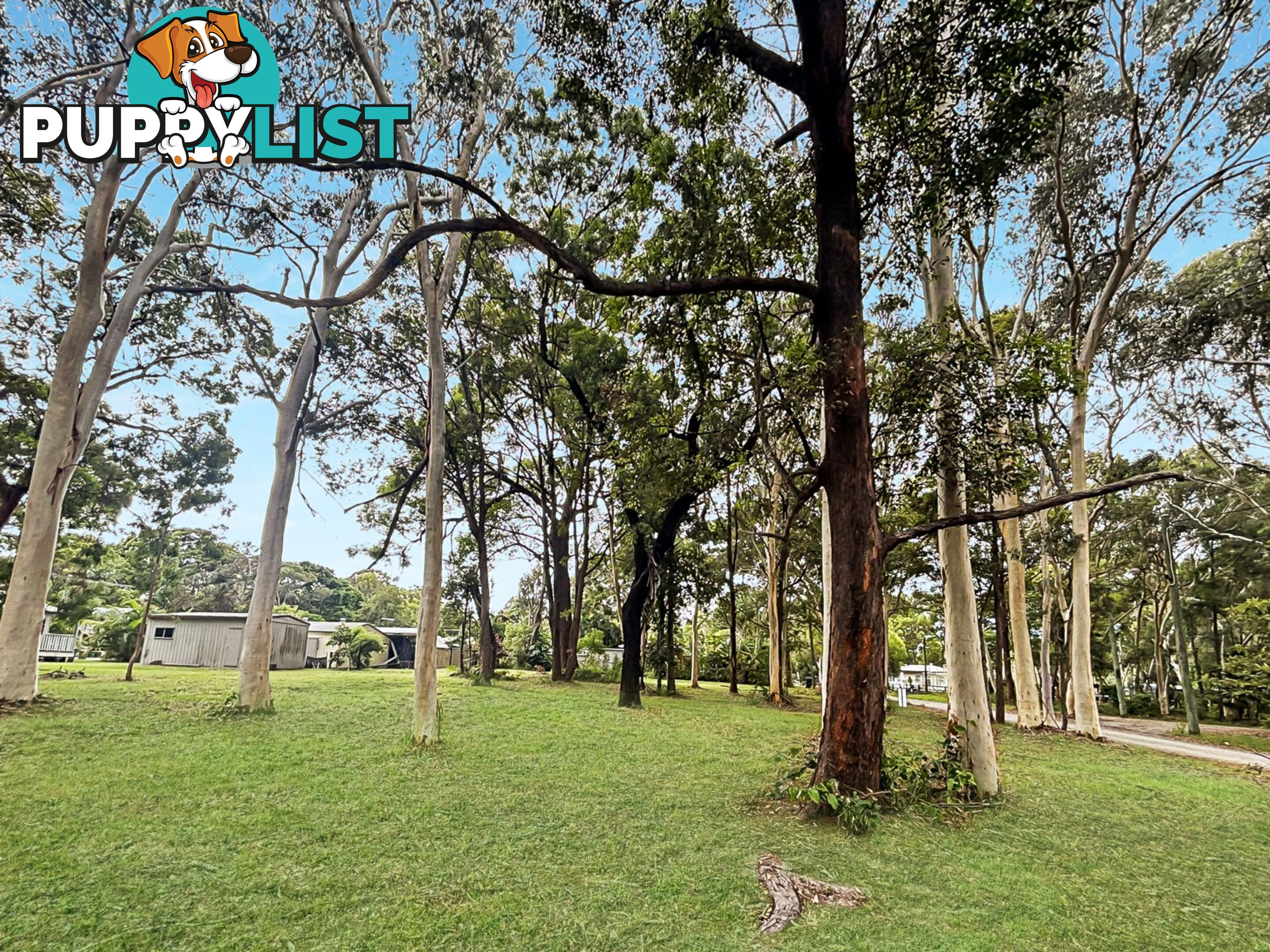 13-17 Parakeet Street MACLEAY ISLAND QLD 4184