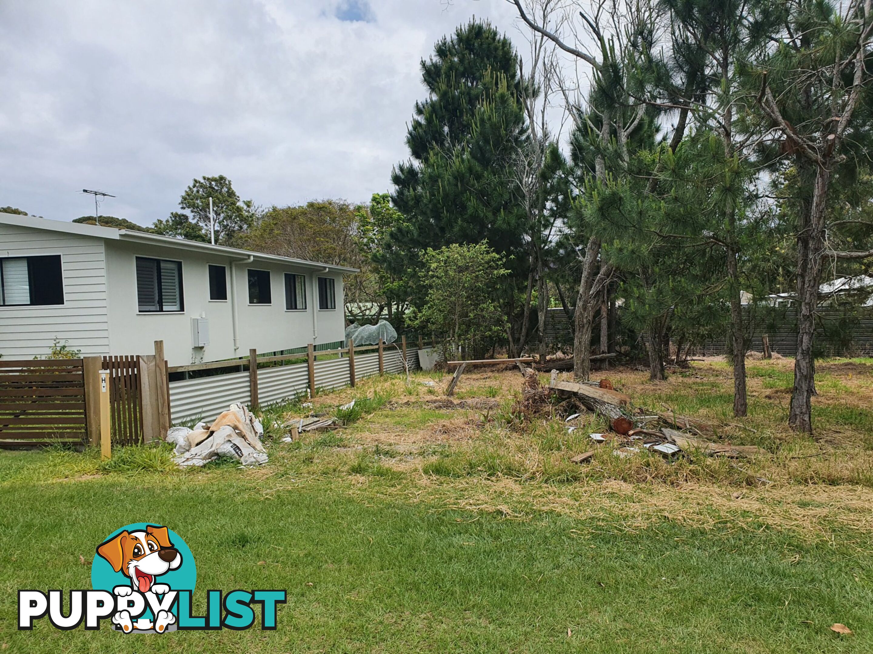 31 Michael Street MACLEAY ISLAND QLD 4184