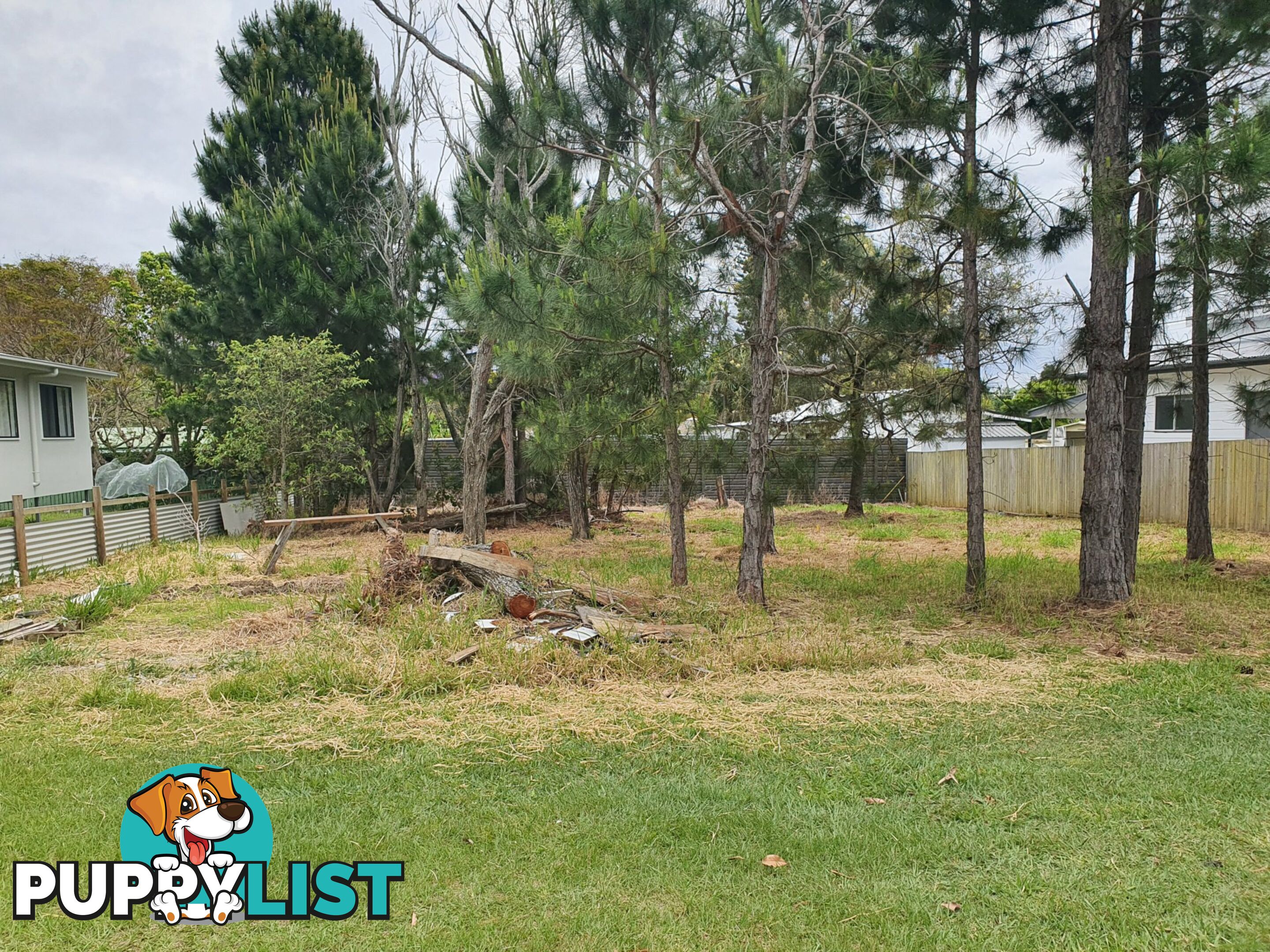 31 Michael Street MACLEAY ISLAND QLD 4184