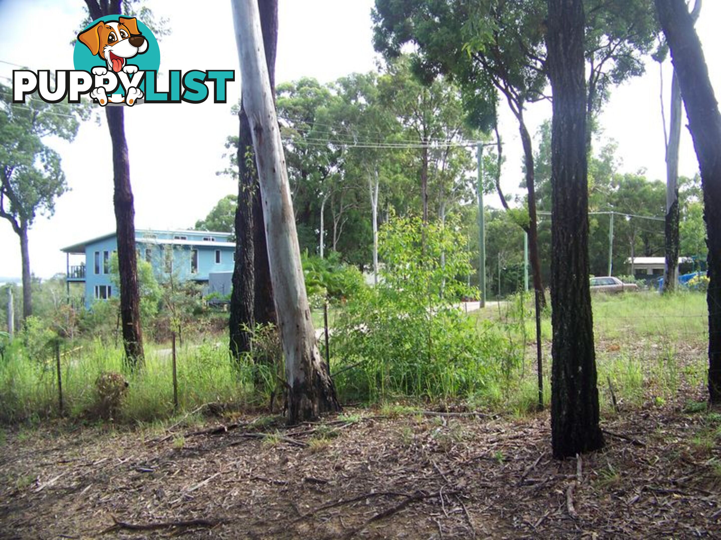 18 Piccaninny Street MACLEAY ISLAND QLD 4184