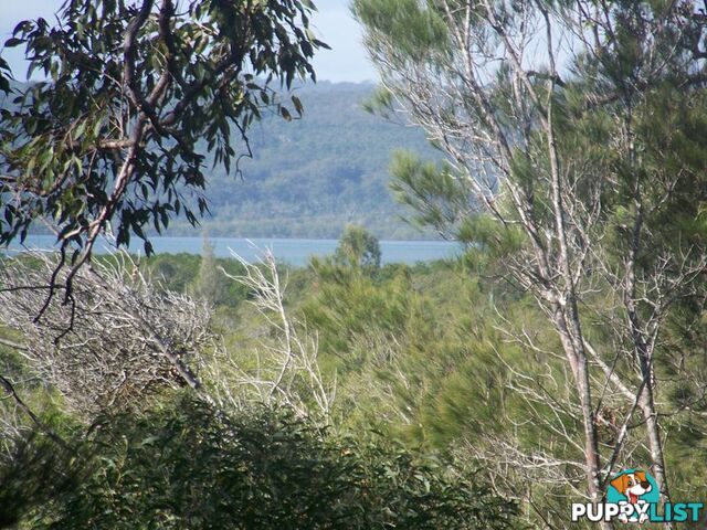 18 Piccaninny Street MACLEAY ISLAND QLD 4184