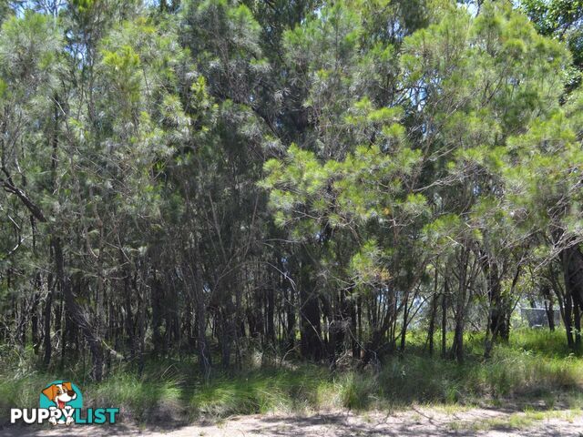 39 Wirralee Street MACLEAY ISLAND QLD 4184