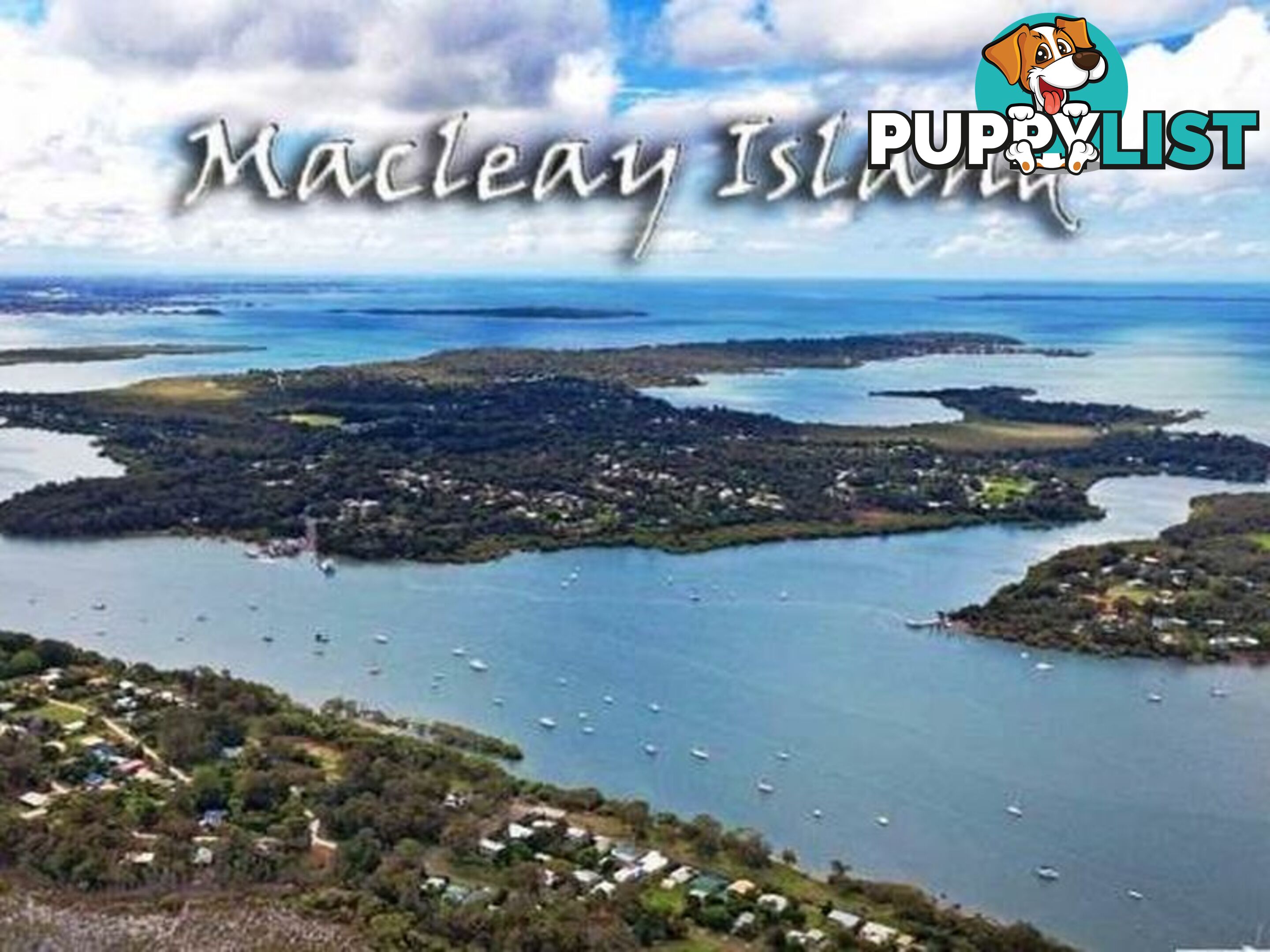 4 Deviot  Street MACLEAY ISLAND QLD 4184