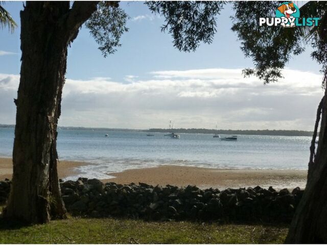 7 Coondooroopa Drive MACLEAY ISLAND QLD 4184