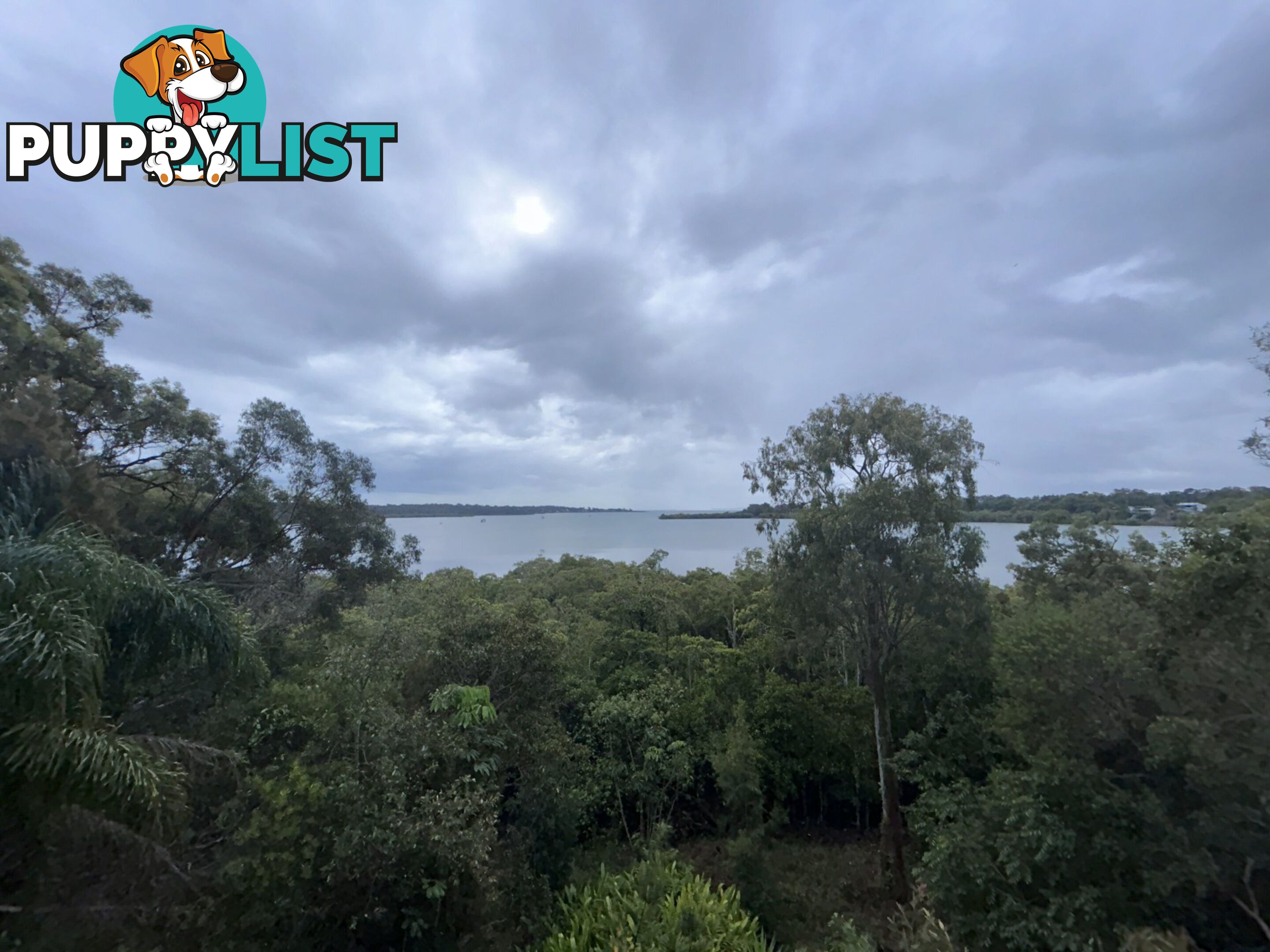 50 Timothy Street MACLEAY ISLAND QLD 4184