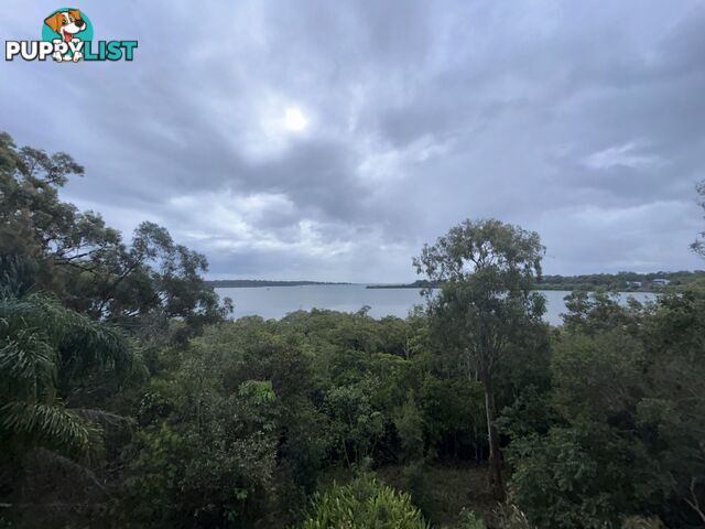 50 Timothy Street MACLEAY ISLAND QLD 4184