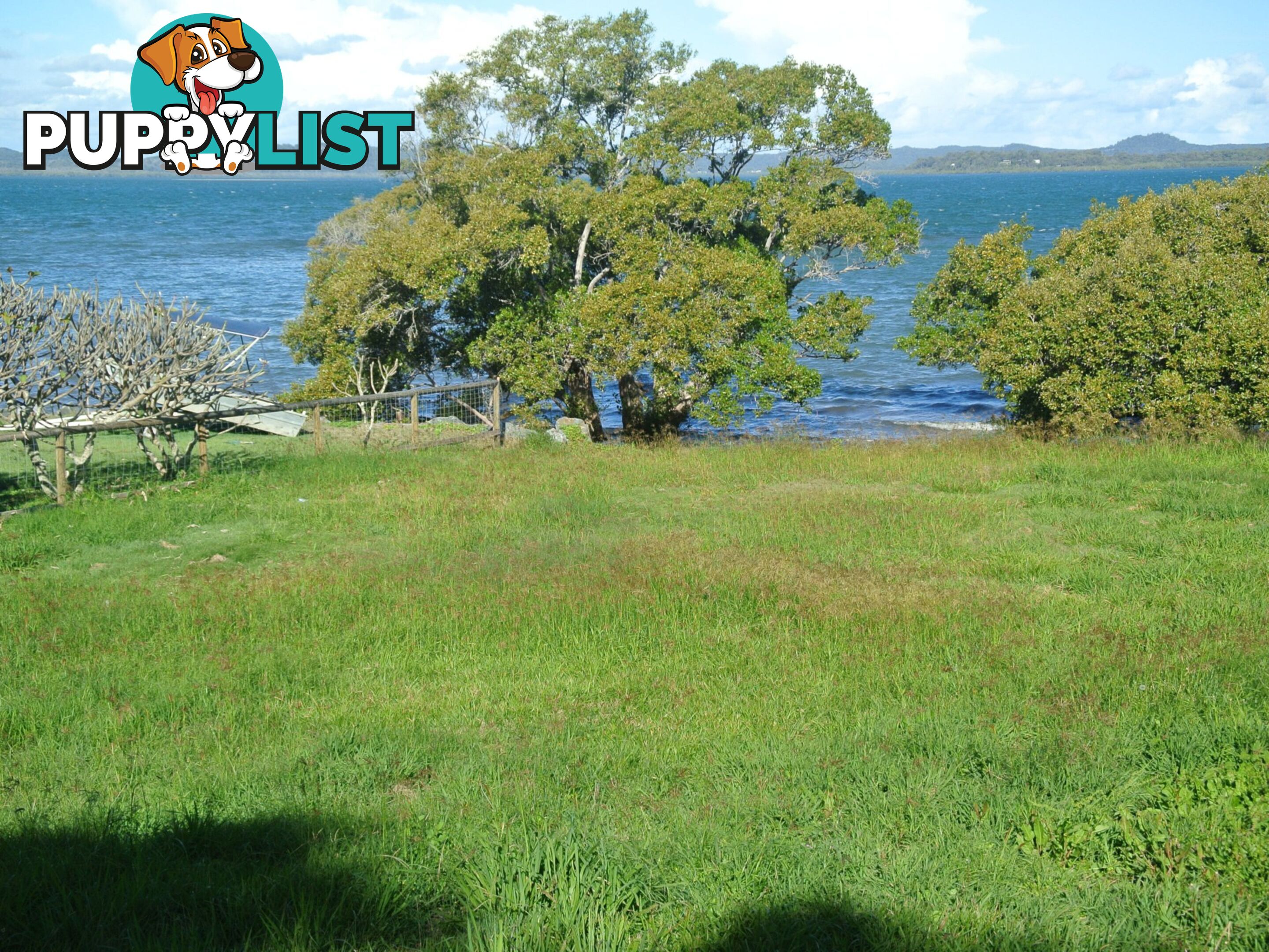 36 Coorong Street MACLEAY ISLAND QLD 4184