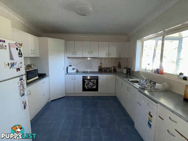 4 Noogie Street MACLEAY ISLAND QLD 4184