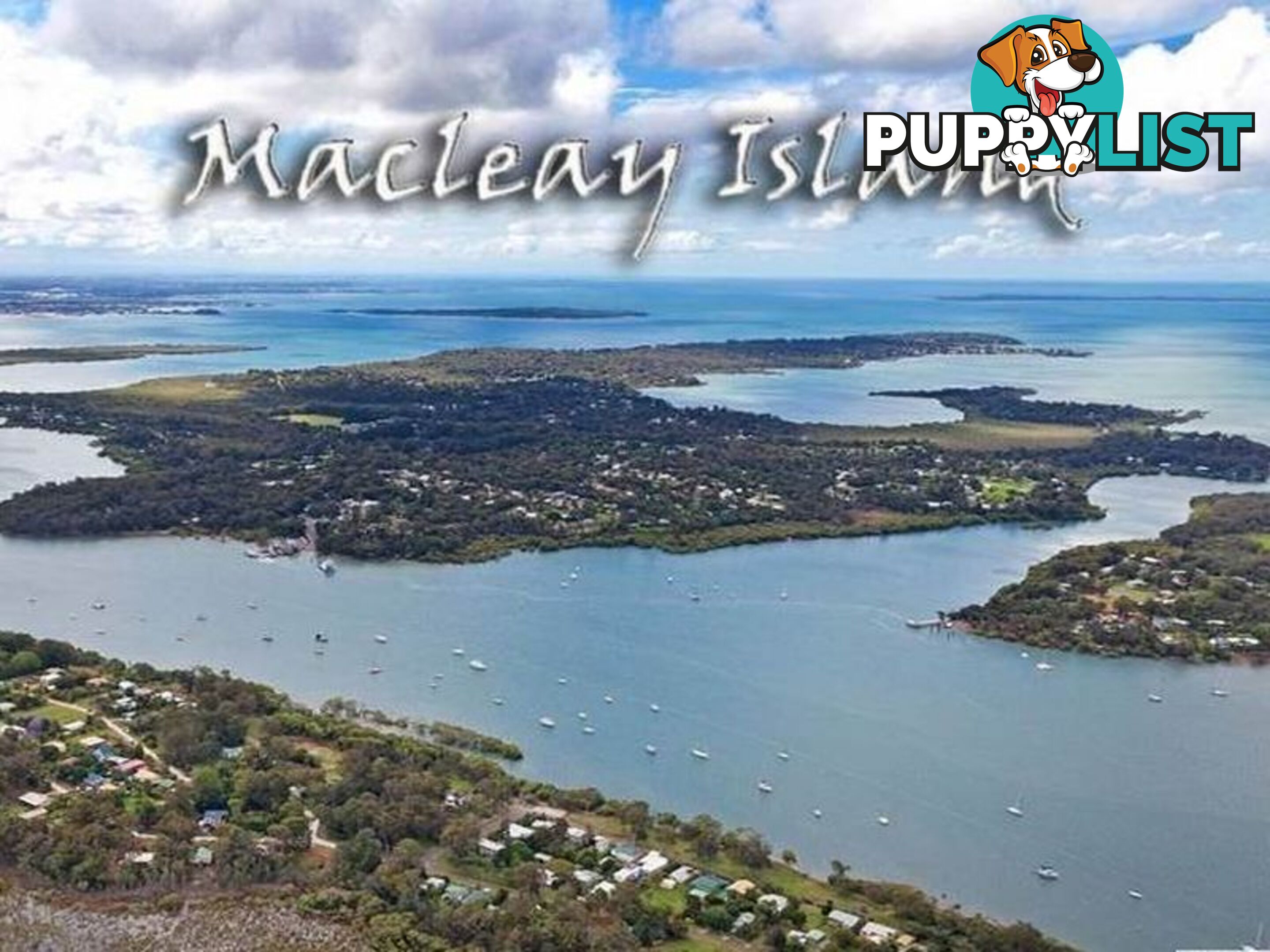 26 Cliff Terrace MACLEAY ISLAND QLD 4184