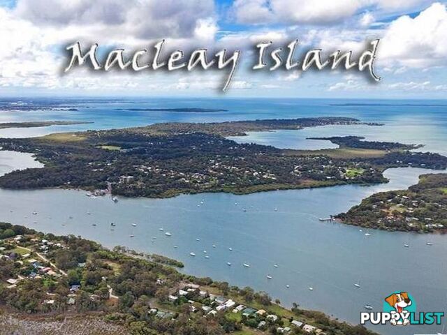 26 Cliff Terrace MACLEAY ISLAND QLD 4184