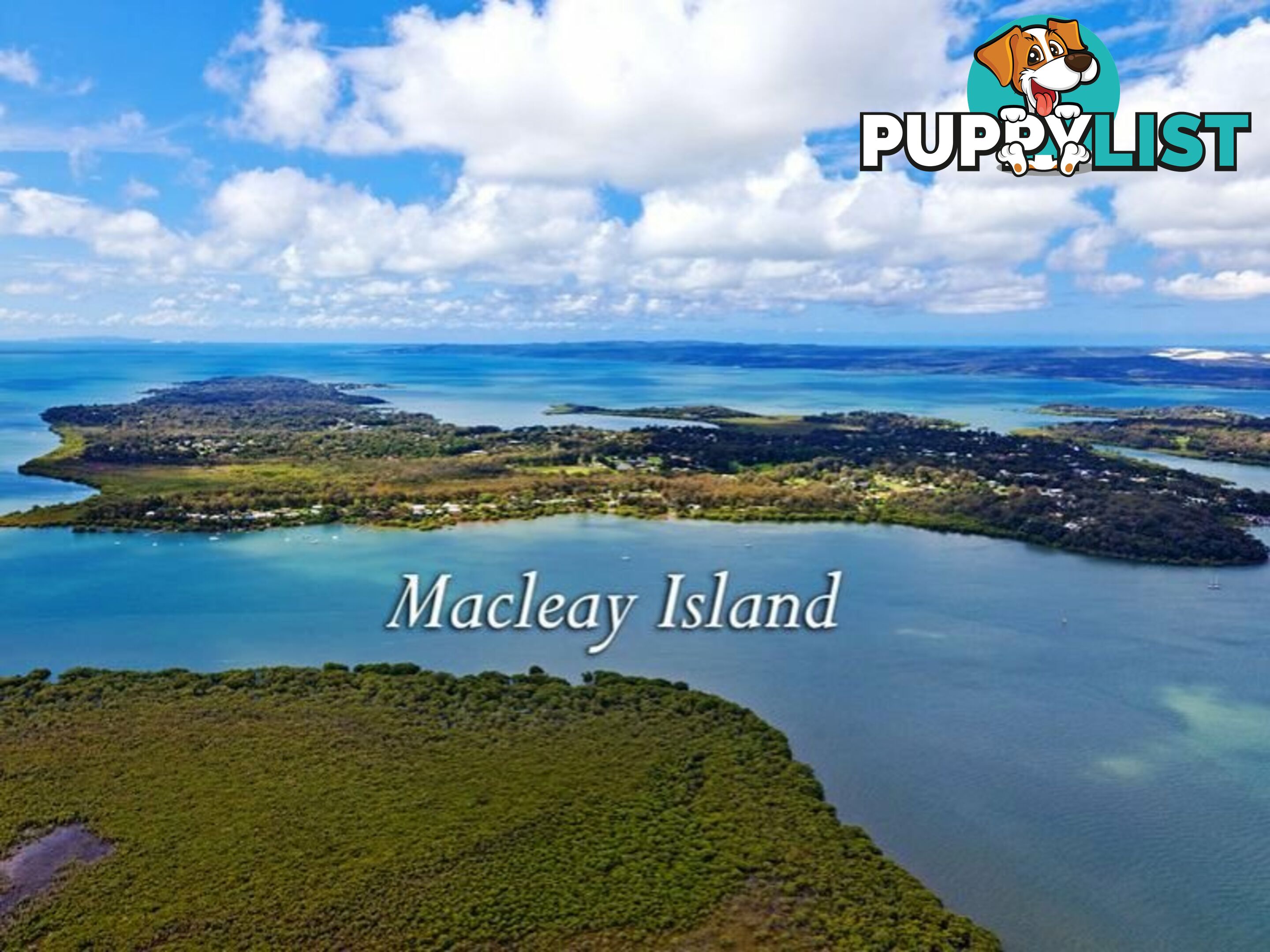 3 Quail Place MACLEAY ISLAND QLD 4184