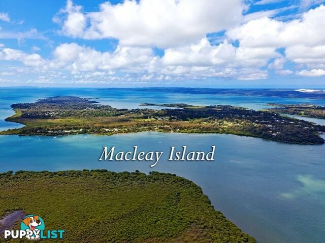 3 Quail Place MACLEAY ISLAND QLD 4184