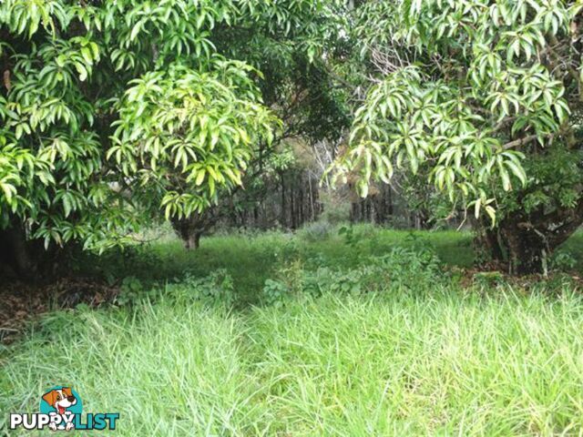 3 Quail Place MACLEAY ISLAND QLD 4184