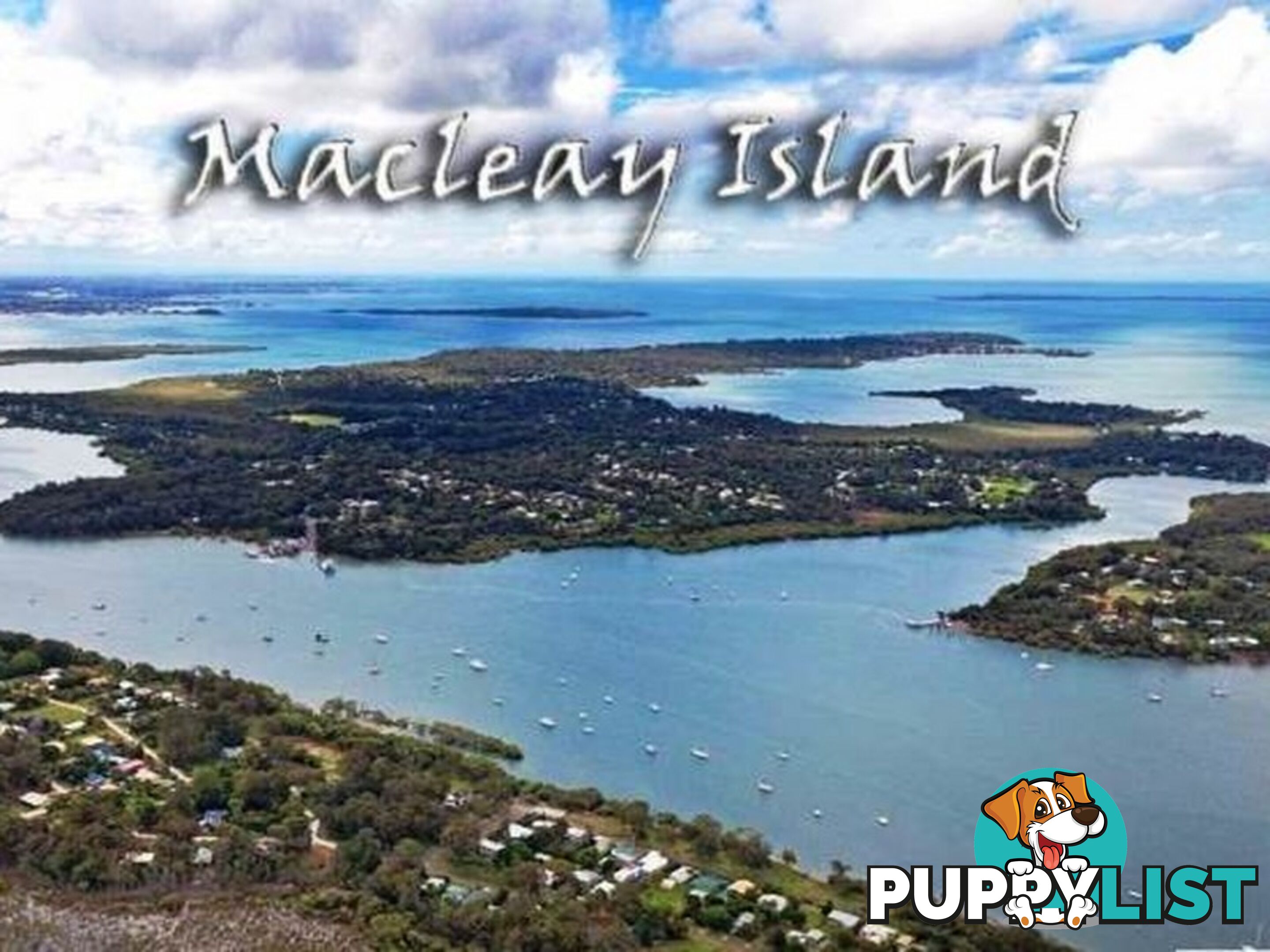 124 Kate Street MACLEAY ISLAND QLD 4184